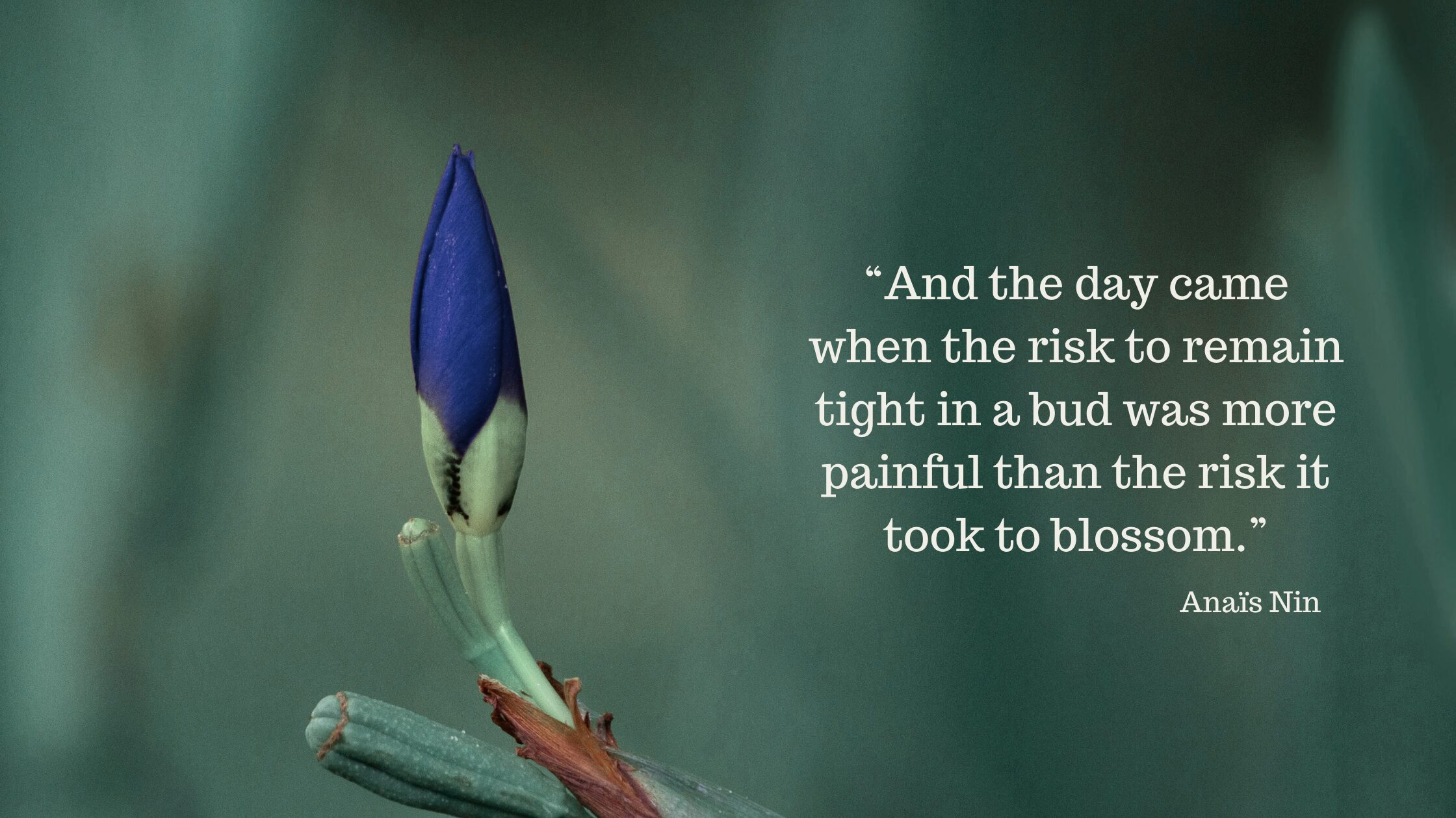 Unlocking Hidden Potential Through Self-Discovery