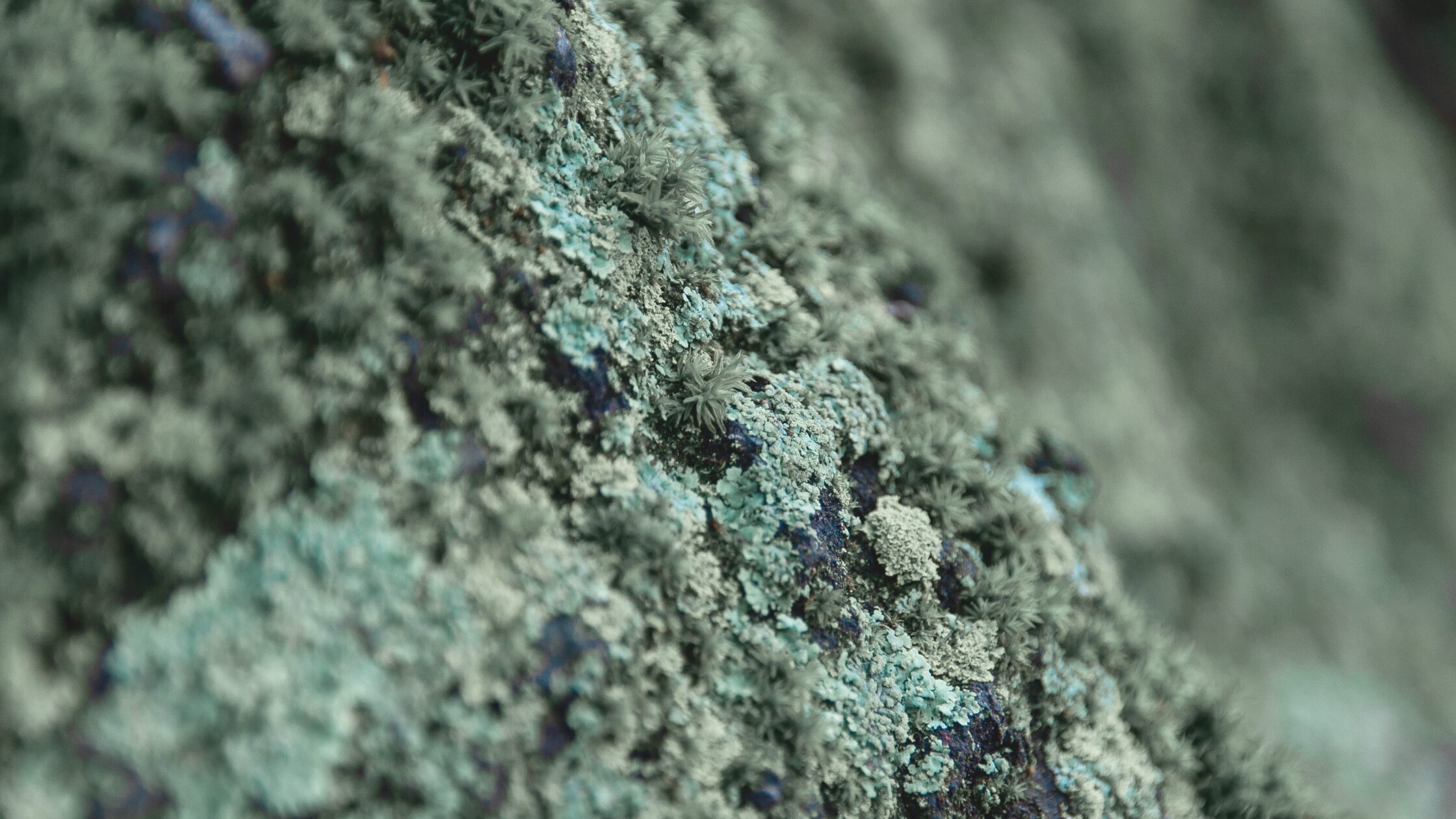 What Is Human Design? A Complete Guide to Understanding Your Design