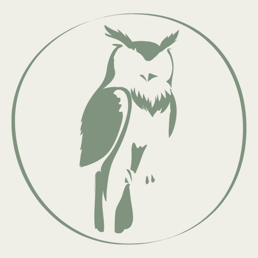 Human Design Insight