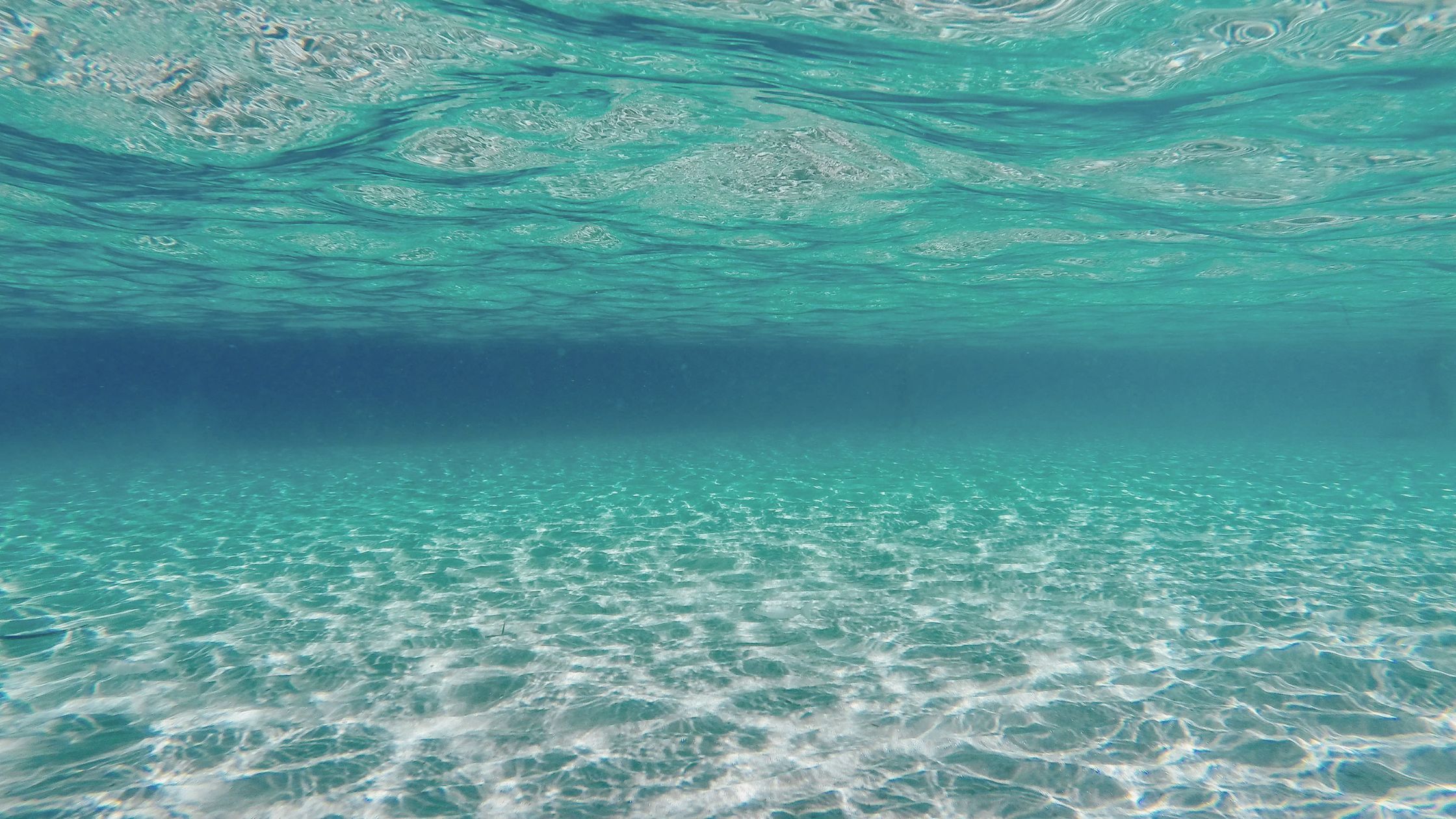 Emotional waves in Human Design: the four wave forms